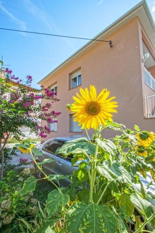 Apartman Studio Nena Crikvenica Eksteriør billede